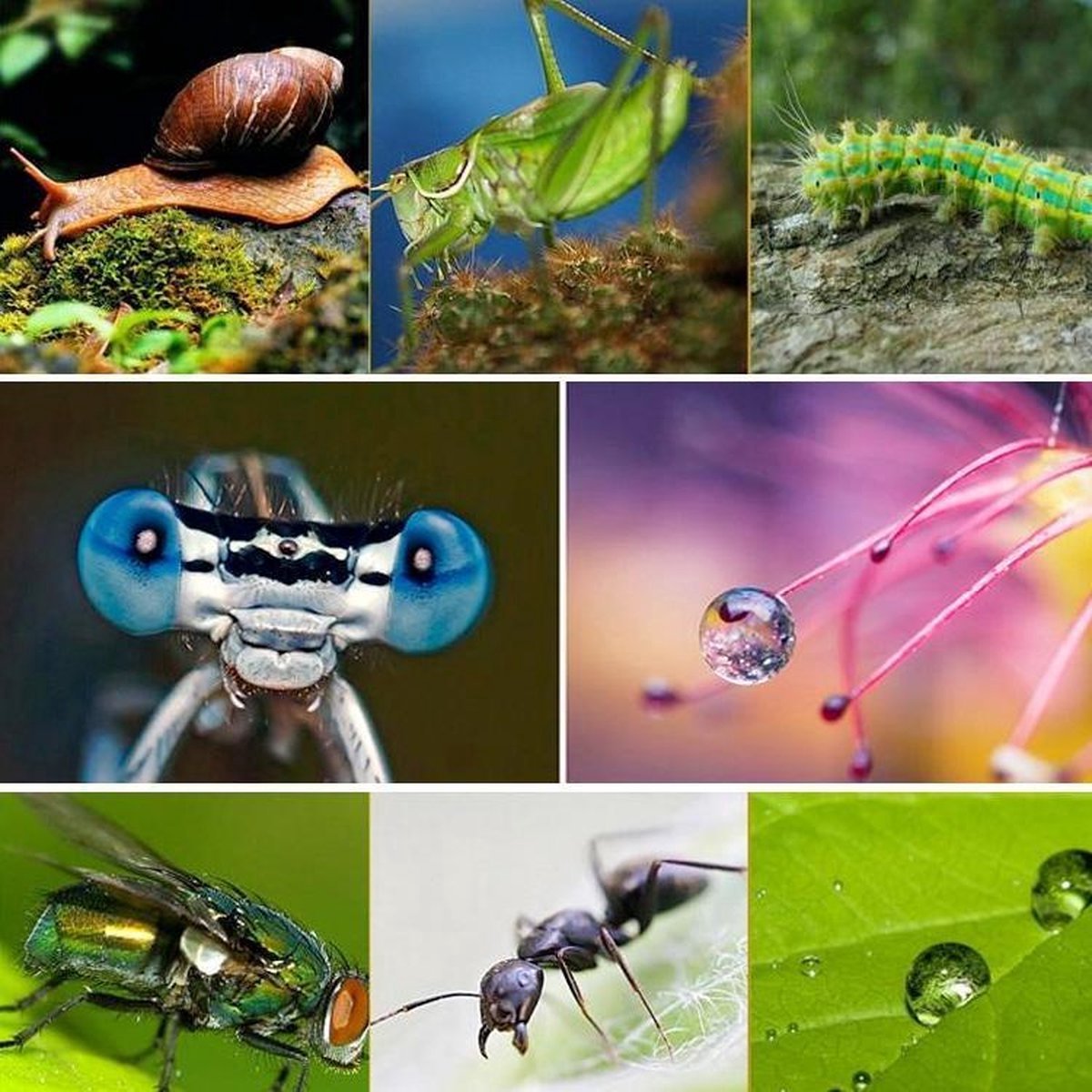 YONO Macro Lens Filter 58mm – Close Up Set geschikt voor Canon / Nikon / Sony – 4-Pack – 58CUP